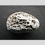 Steine, Muscheln /Marmor-Stein mit Bohrspuren