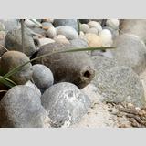 Steine, Muscheln 3 /Drusen vom Ostseestrand