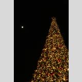 Weihnachtliches /Tannenbaum in der Nacht