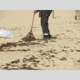 Berufe /Für den sauberen Strand